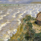 Rising Tide at Pourville by Claude Monet. In storage at the Brooklyn Museum.